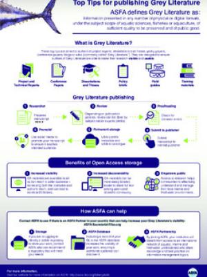 Top tips for publishing grey literature